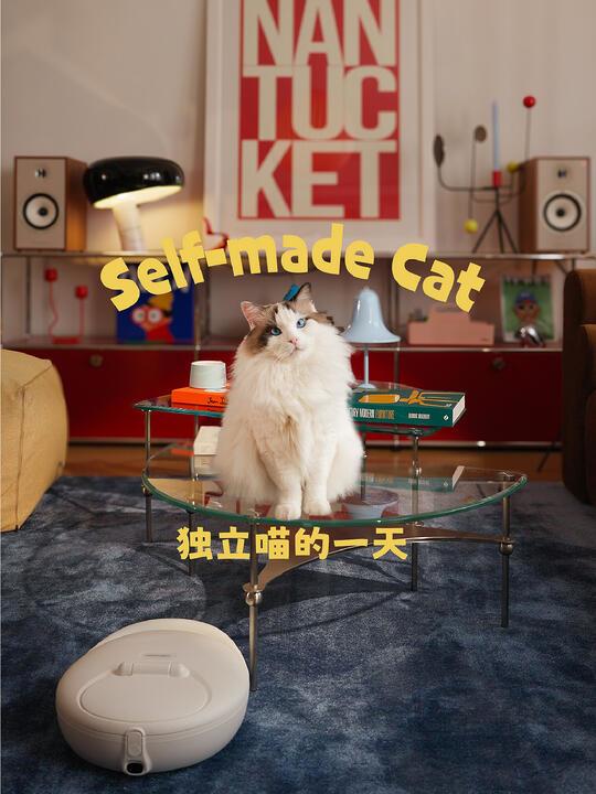 《喵的独立日记》