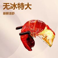小龙虾价格腰斩！买前不懂这6点，钱白花还踩坑