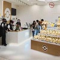 宝可梦卡牌渠道指南:集换社、懂淘、SNKRDUNK…谁才是性价比之王?