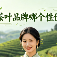 甄选高性价比好茶！福建优选十大品牌助您喝懂闽茶！