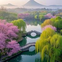 一个人旅行别乱选城市!国内这4座城安全感拉满,专治独行焦虑
