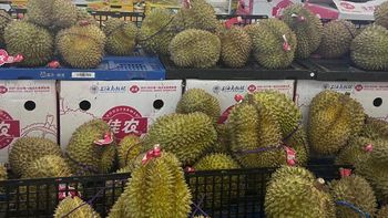 榴莲价格跌到2开头！盒马29.9元/斤遭疯抢，从贵族水果变平民了