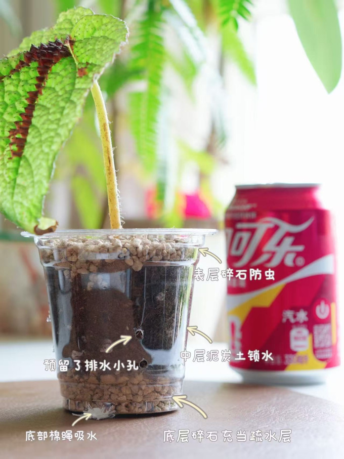 富玉水具酒具
