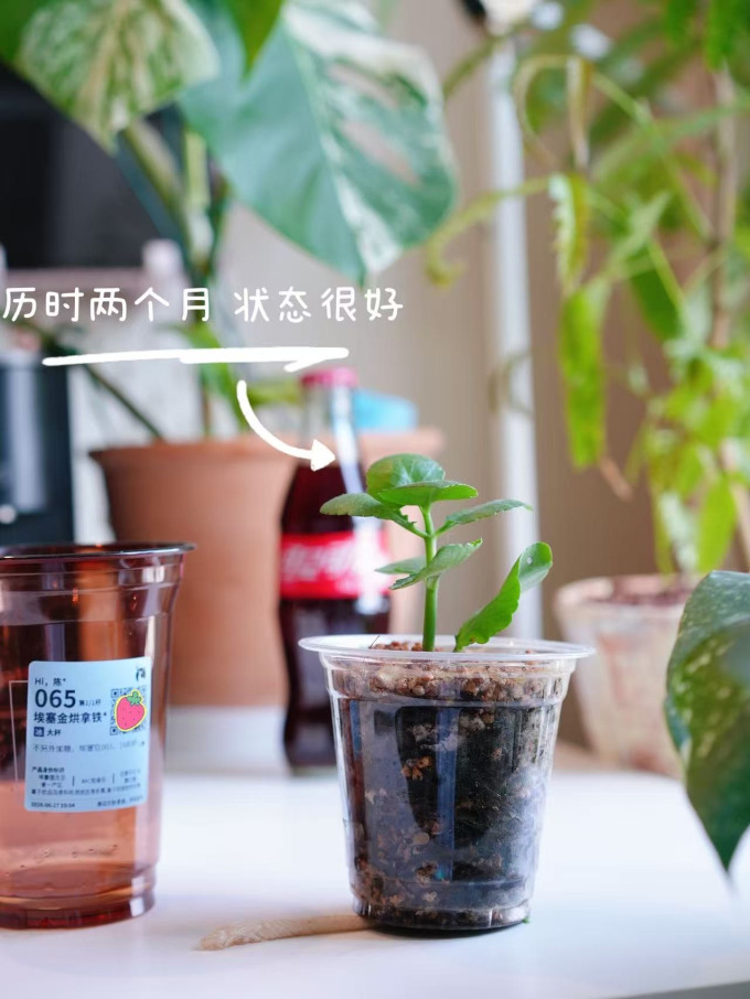 富玉水具酒具