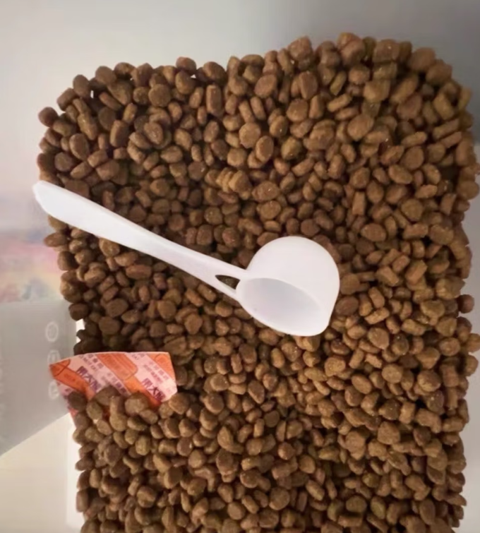 猫咪干粮