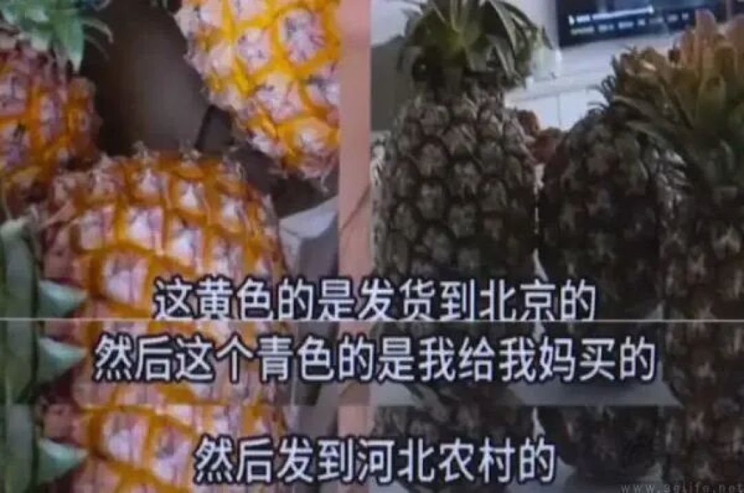 支持边逛边比价，淘宝要从线下场景抢流量