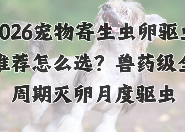 2026宠物寄生虫卵驱虫药怎么选？兽药级全周期灭卵月度驱虫药推荐