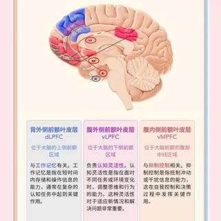 冥想多久才有用？7分钟触发脑区变化，8周后大脑结构可测