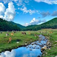 花2倍钱体验1/5舒适度？老玩家已转场这片22℃秘境