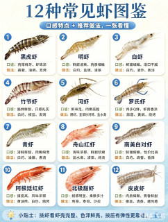 12种食用虾完整图鉴｜口感+吃法精准搭配，买菜再也不纠结