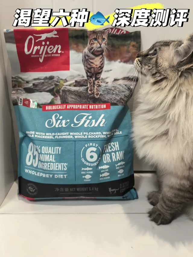 吃了六年的渴望六种鱼🐟