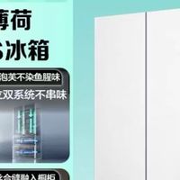 制冰冰箱选购的三大硬指标:海信大薄荷509E5S深度解析