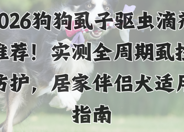 2026狗狗虱子驱虫滴剂推荐！实测全周期虱控防护，居家伴侣犬指南
