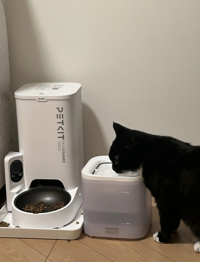 宠物食具水具
