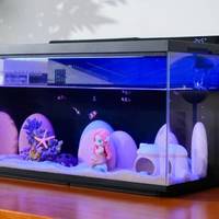 精致家居 篇零：暑假熊孩子养鱼翻车？当贝鱼缸2S Ultra七重过滤兜底