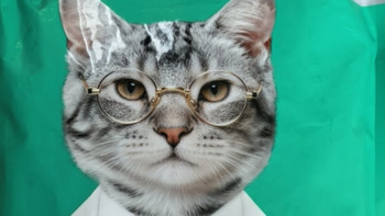 养猫省心好物：凯锐思益生菌豆腐猫砂