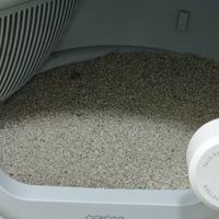 派兮可视自动猫砂盆深度上手体验