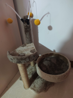 我家猫真的很会生活，喵仙儿猫爬架给它立体大别墅