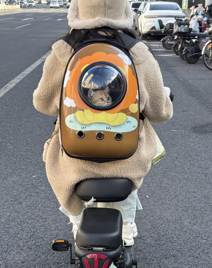 其他宠物日用