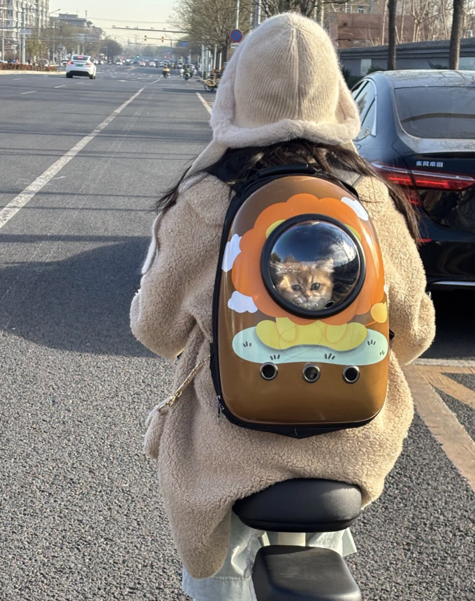 其他宠物日用
