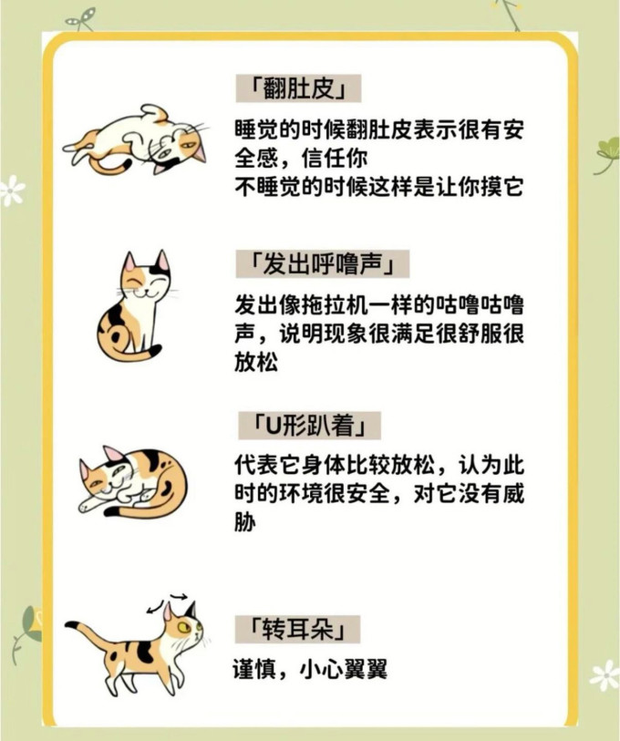 喵仙儿猫抓板