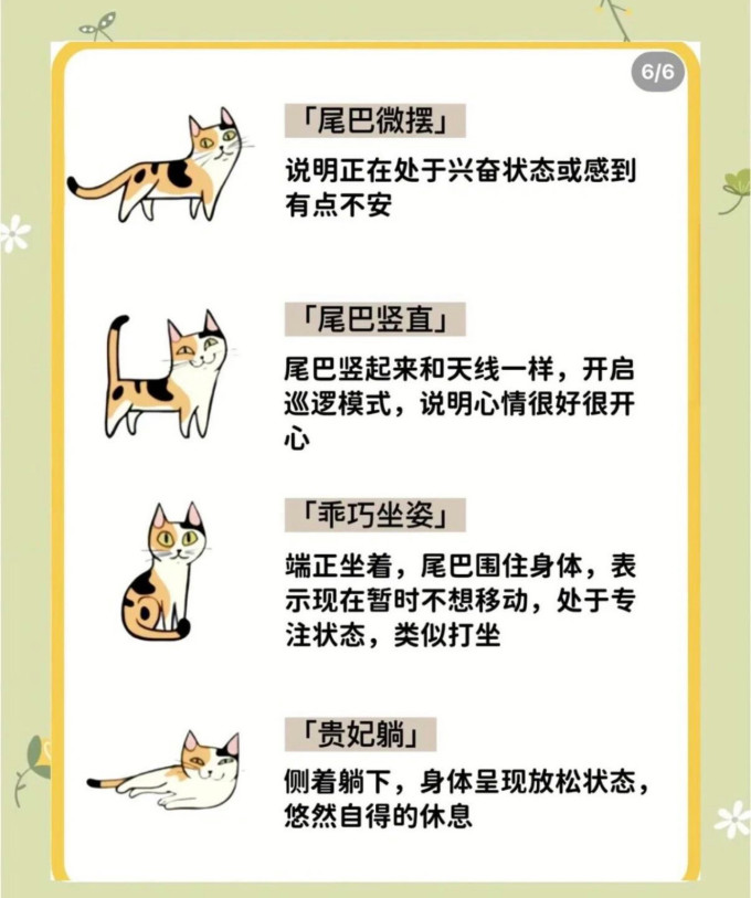 喵仙儿猫抓板