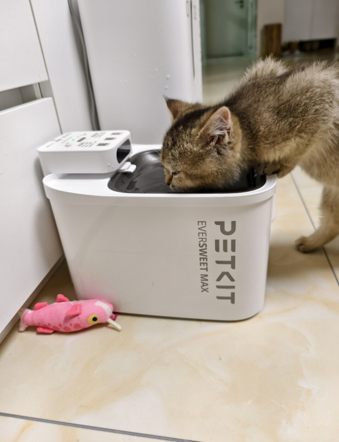 小佩宠物食具水具