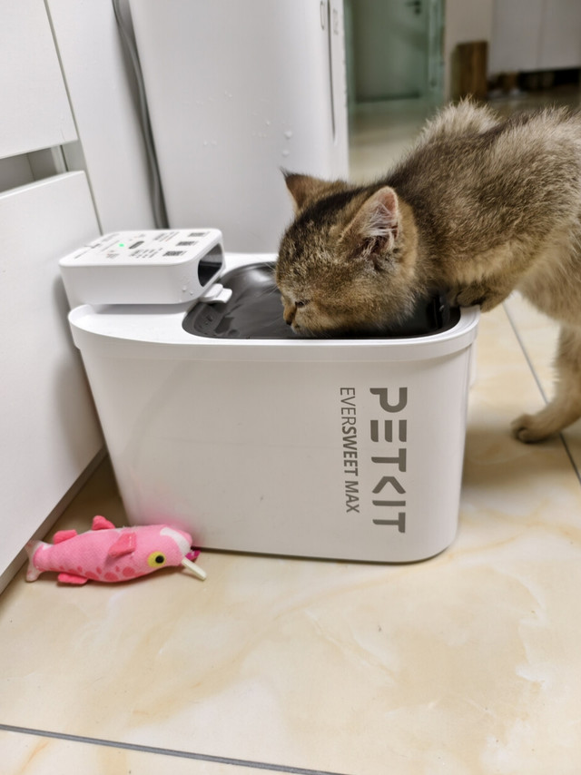 小佩无线饮水机，养猫性价比好物