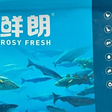 玻璃胃猫咪的“救星”,软便怪终于能好好吃饭了