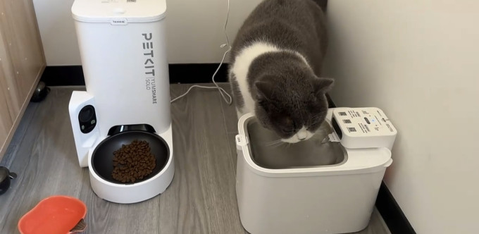小佩宠物食具水具