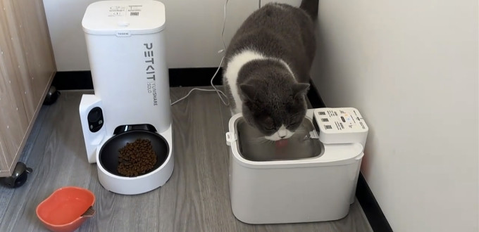 小佩宠物食具水具