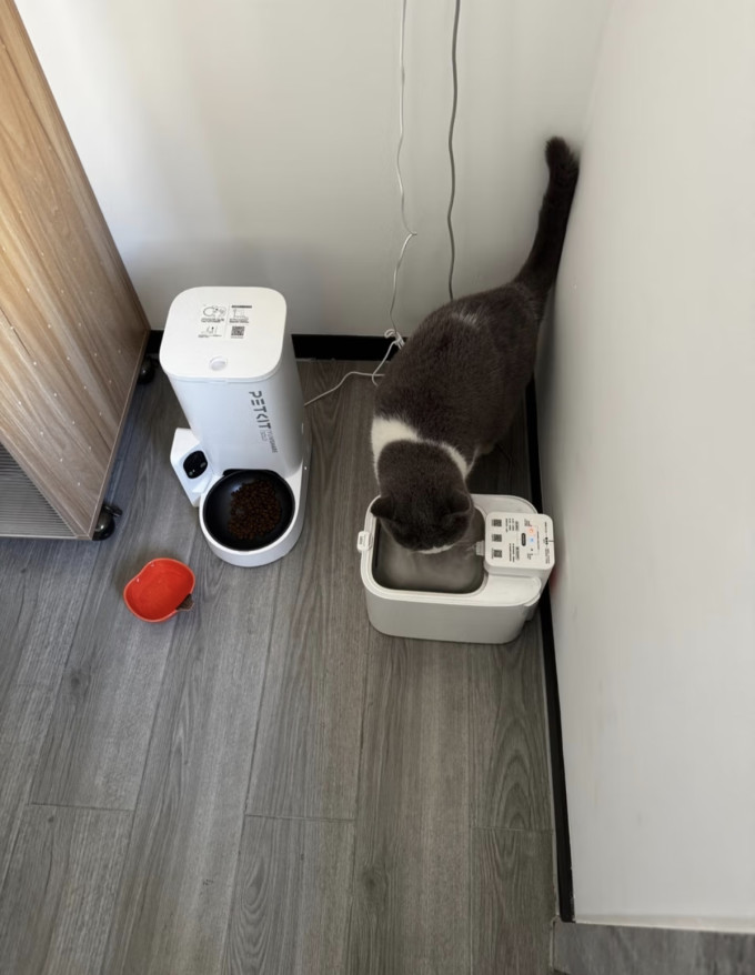 小佩宠物食具水具