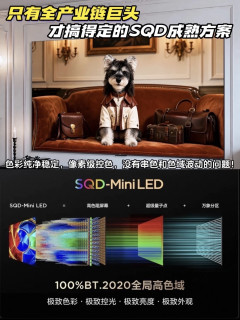 别再被单一参数带偏了，买电视先看这三个关键点