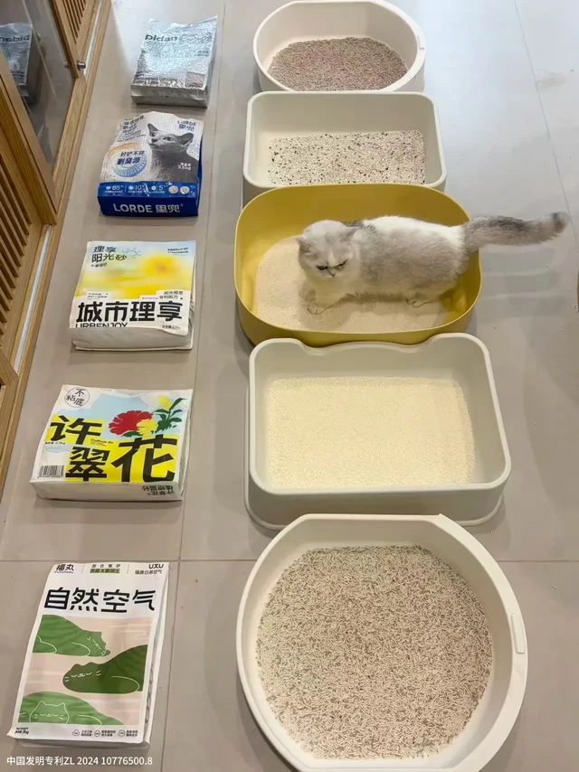 反复确认了，咪还是喜欢城市理享！