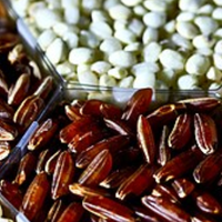 控糖人群怎么吃米饭？白米、糙米、黑米、红米，到底哪种更适合你