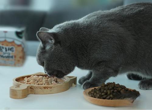 阿飞和巴弟E76猫粮蛋白质亮眼但这个指标要警惕