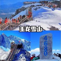 版纳带娃5天血泪复盘:一天跑四个点第三天集体崩盘,这些坑没人说过