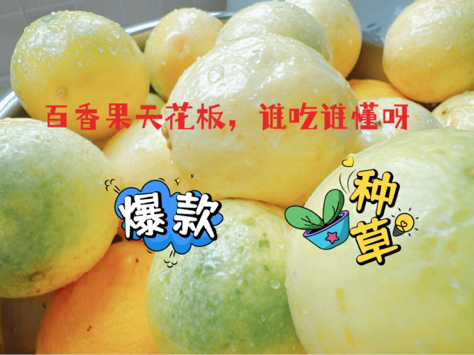 京觅新鲜水果