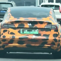 豹纹特斯拉抠标变身理想汽车！交警：私自更改汽车标志涉嫌违法