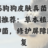 2026狗皮肤真菌感染喷剂推荐：草本植萃温和抑菌，修护屏障防反复