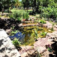 花5万做的水景成了噩梦？老法师用真金白银验证：这3点想不清楚就别动工
