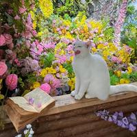 养猫人逛山姆别乱买！冻干零食猫砂化毛棒，帮你选对不踩雷