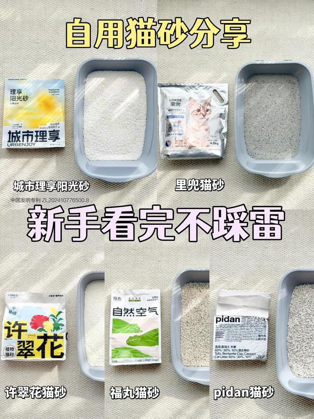 自用猫砂大盘点｜看完直接抄作业，不踩雷💣