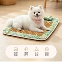 5个降温神器真实测评！给毛孩子选对不选贵，三伏天前必看