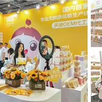 婴享如何用近百个SKU撑起“低敏零食/辅食品类首创”的版图