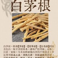 这草根嚼着甜，凉血止血、清热利尿、清肺胃热，夏季离不开它