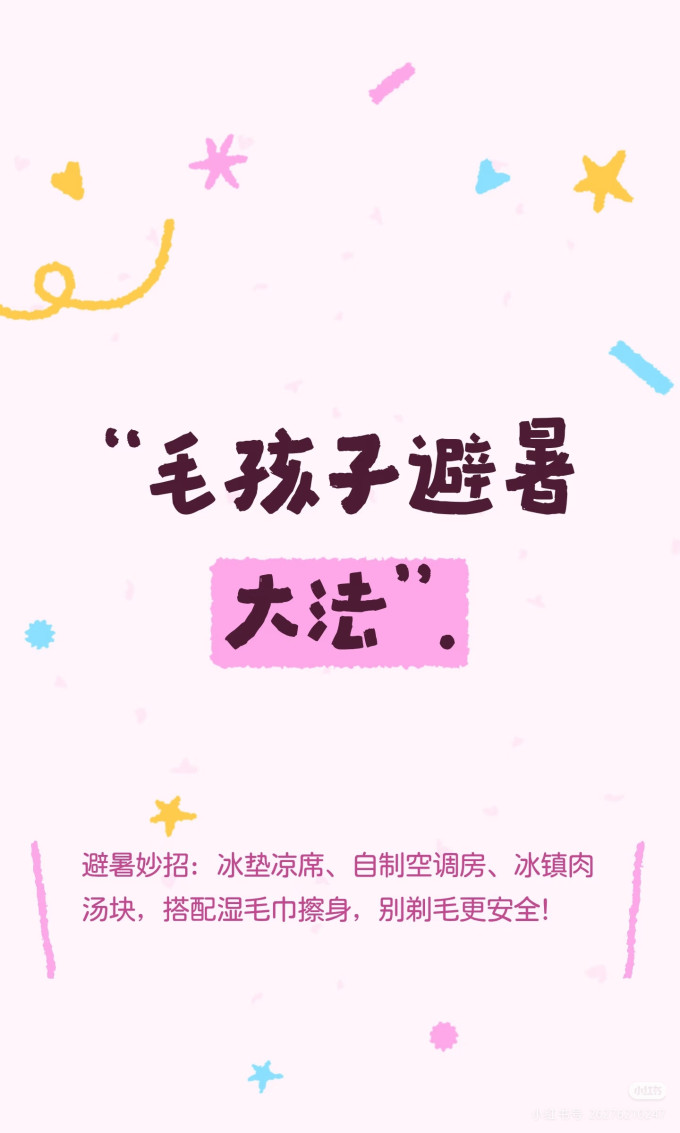 其他宠物日用
