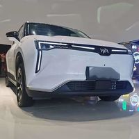 二手威马W6续航实测：标称520高速只跑300？买前不查这数据亏大了