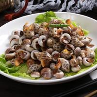7月海螺梭子蟹正肥，老手教你3步挑出满黄满肉，海鲜老板都夸你内行