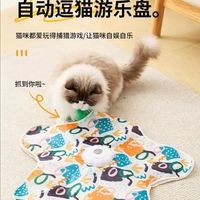 你家猫扑你咬你，不是脾气差，是狩猎本能憋坏了！宠物医生教1招让它乖乖安静
